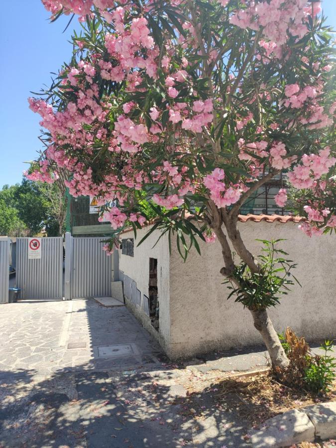 Casa Vacanze Fiumicino Exteriér fotografie